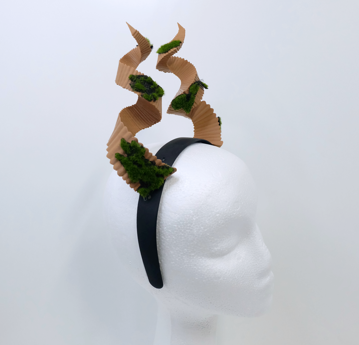 Fearne Calloway Horns
