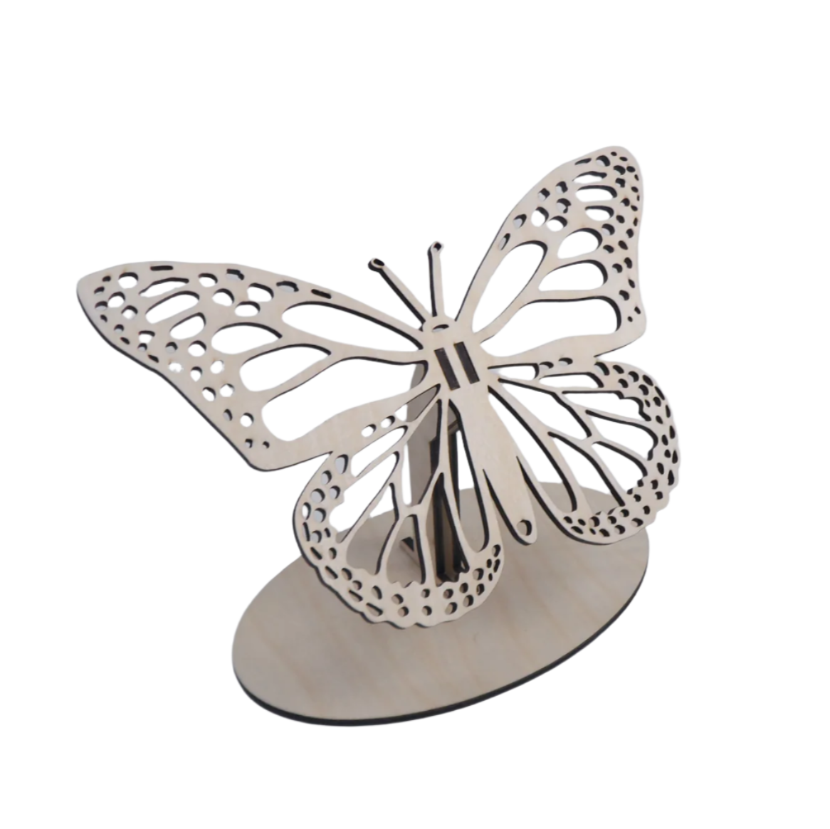Butterfly Earring Display